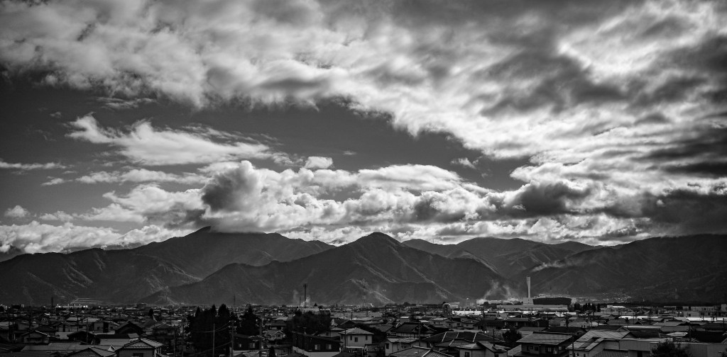 2025年11月のスケジュール